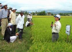 Chương trình khoa học và công nghệ phục vụ xây dựng nông thôn mới