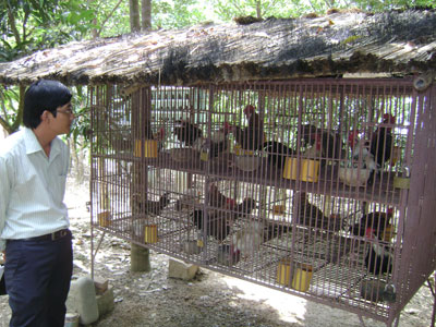 Khách tham quan trang trại.