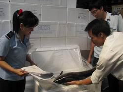 Hướng dẫn thông quan hàng hóa xuất nhập khẩu phải kiểm dịch