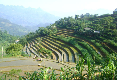 Ruộng bậc thang dưới bàn tay con người. Ảnh: Hoàng Hà. 