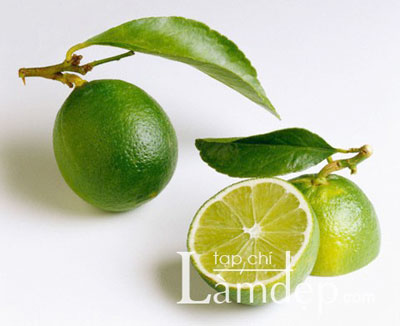 Giảm cân đón Tết với chanh và mật ong