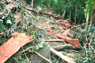 Thông tin phản ánh là có cơ sở