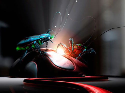 Cảm tử quân virus