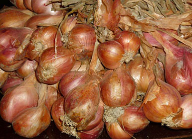 Vỏ hành giảm nguy cơ tiểu đường, ung thư