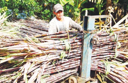 Nhiều nhà máy đường hạ giá bán