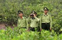 Xây dựng đề án nâng cao năng lực cho lực lượng kiểm lâm