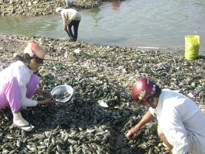 Kẻ cười, người khóc