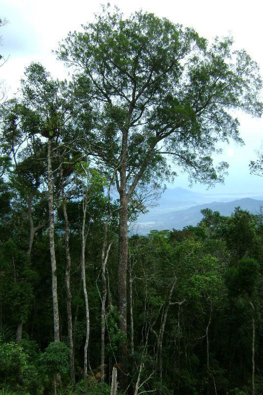 Hon Ba- biodiversity reserve