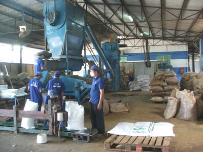  Sản xuất bột cá xuất khẩu tại Công ty TNHH Long Sinh