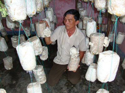 Khi nông dân đi học... làm giàu