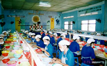 Kiến nghị gia hạn nợ cho các doanh nghiệp chế biến điều