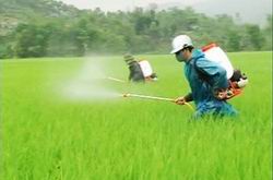 Thống nhất áp thuế giá trị gia tăng 5% với máy phun thuốc trừ sâu