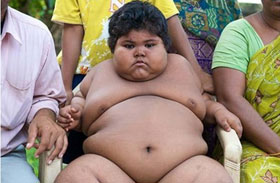 Chế độ ăn giàu protein gây hại thận