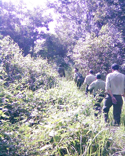 Chủ động phòng, chống cháy rừng
