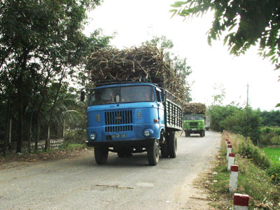 Bảo vệ kết cấu hạ tầng giao thông khi vận chuyển mía