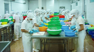 Cần tạo mối liên kết “4 nhà”