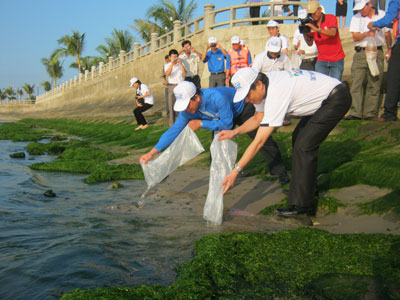 Đồng chí Lê Đức Vinh - Ủy viên Ban Thường vụ Tỉnh ủy, Phó Chủ tịch UBND tỉnh và đồng chí Hồ Văn Mừng - Bí thư Tỉnh đoàn thực hiện nghi thức thả cá xuống biển.