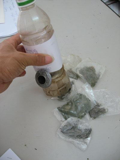 Cần sa len lỏi đến các vùng quê