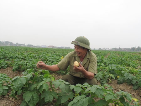 100% hàng nông sản được miễn thuế xuất khẩu