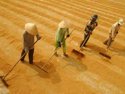 Danh mục 9 sản phẩm quốc gia thực hiện từ năm 2012