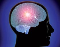 Nguyên nhân gây rối loạn trí nhớ do giảm thể tích não