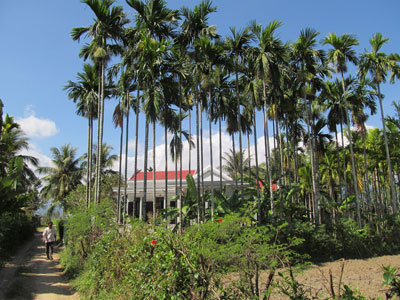 Mai một vì thiếu đầu ra