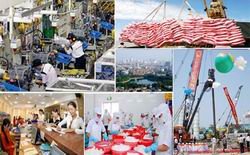 Chương trình hành động của Chính phủ triển khai Chiến lược phát triển KTXH 2011 - 2020