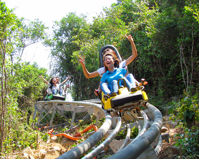  Đường trượt Alpine Coaster của Khu vui chơi giải trí Vinpearl sẽ đem lại cho du khách những trải nghiệm thú vị.