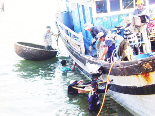 Thử nghiệm thành công việc tìm luồng cá ngừ