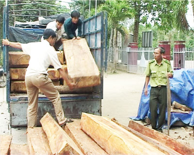 Kiểm lâm huyện Khánh Vĩnh bắt giữ một vụ vận chuyển gỗ lậu.