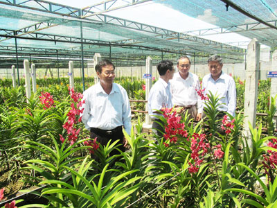 Cung cấp nhiều giống cây trồng, vật nuôi cho các địa phương