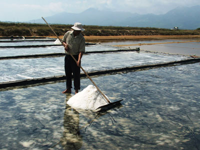 Sân muối kết tinh áp dụng kỹ thuật trải bạt cho hiệu quả cao của diêm dân Nguyễn Trọng Thái (xã Ninh Thọ).