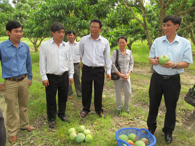 Đồng chí Lê Đức Vinh (phải) thăm mô hình xoài Úc tại Trung tâm Nông nghiệp Công nghệ cao.