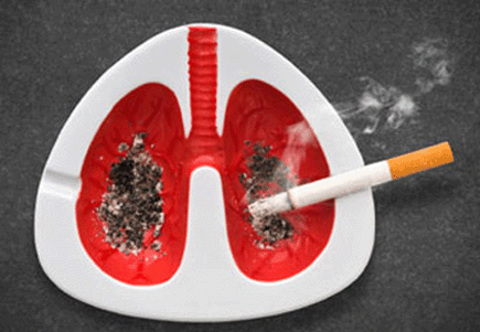 Thi viết về phòng, chống tác hại của thuốc lá