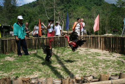 Thu hút lượng lớn khách du lịch Nga