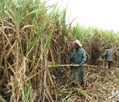 Vẫn còn không ít băn khoăn