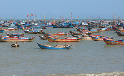 Loay hoay tìm hướng phát triển