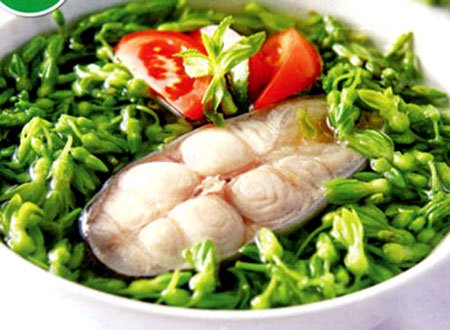 Món ăn: Canh cá hú hoa thiên lý