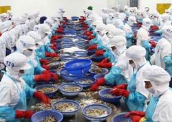 Ngành nghề được hưởng chính sách khuyến công