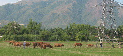 Cần vận động nhân dân tích cực tham gia xây dựng nông thôn mới