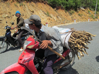 “Cơn sốt” đã hạ nhiệt