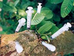 Tập trung thực hiện "Tháng hành động phòng, chống ma túy"