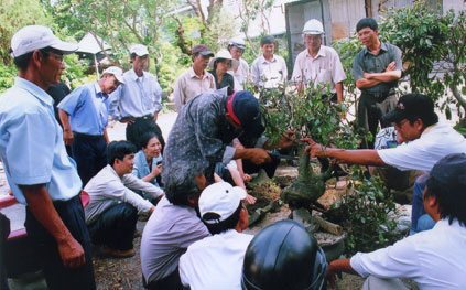 Một lớp chăm sóc hoa, cây cảnh do Hội Nông dân tỉnh tổ chức.