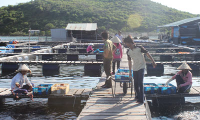 Phát hiện thêm cơ sở tại vịnh Vân Phong
