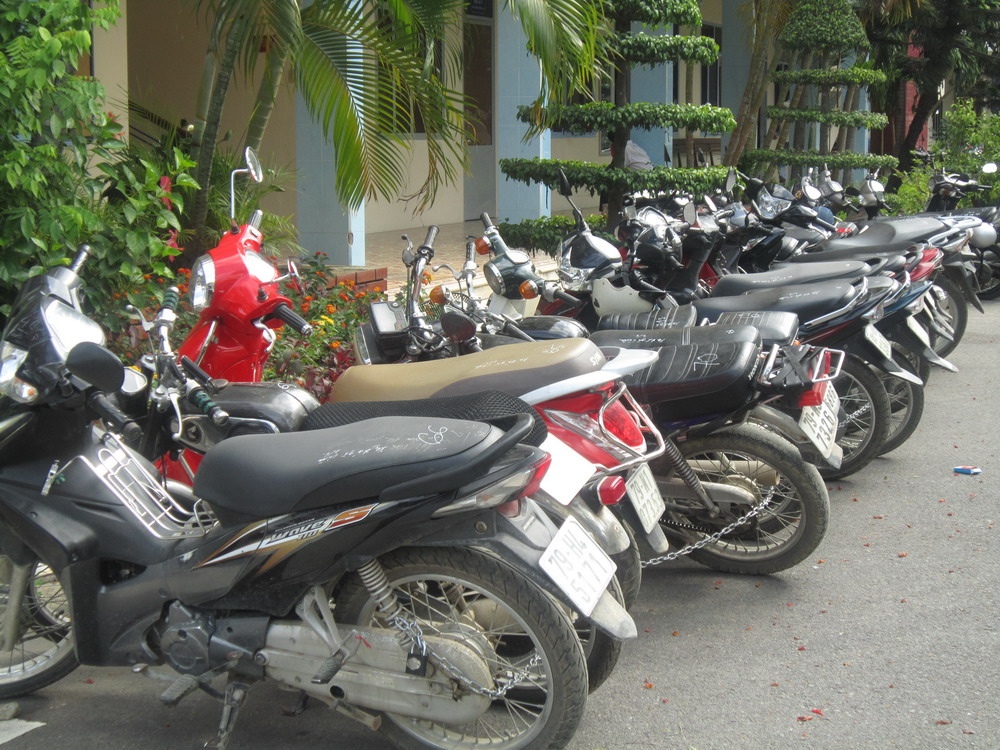 Triệt phá trường gà có quy mô lớn