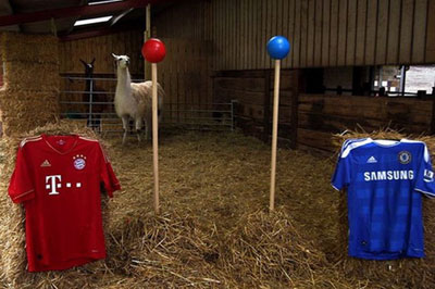 Điểm mặt “Nhà tiên tri” của Vòng chung kết Euro 2012