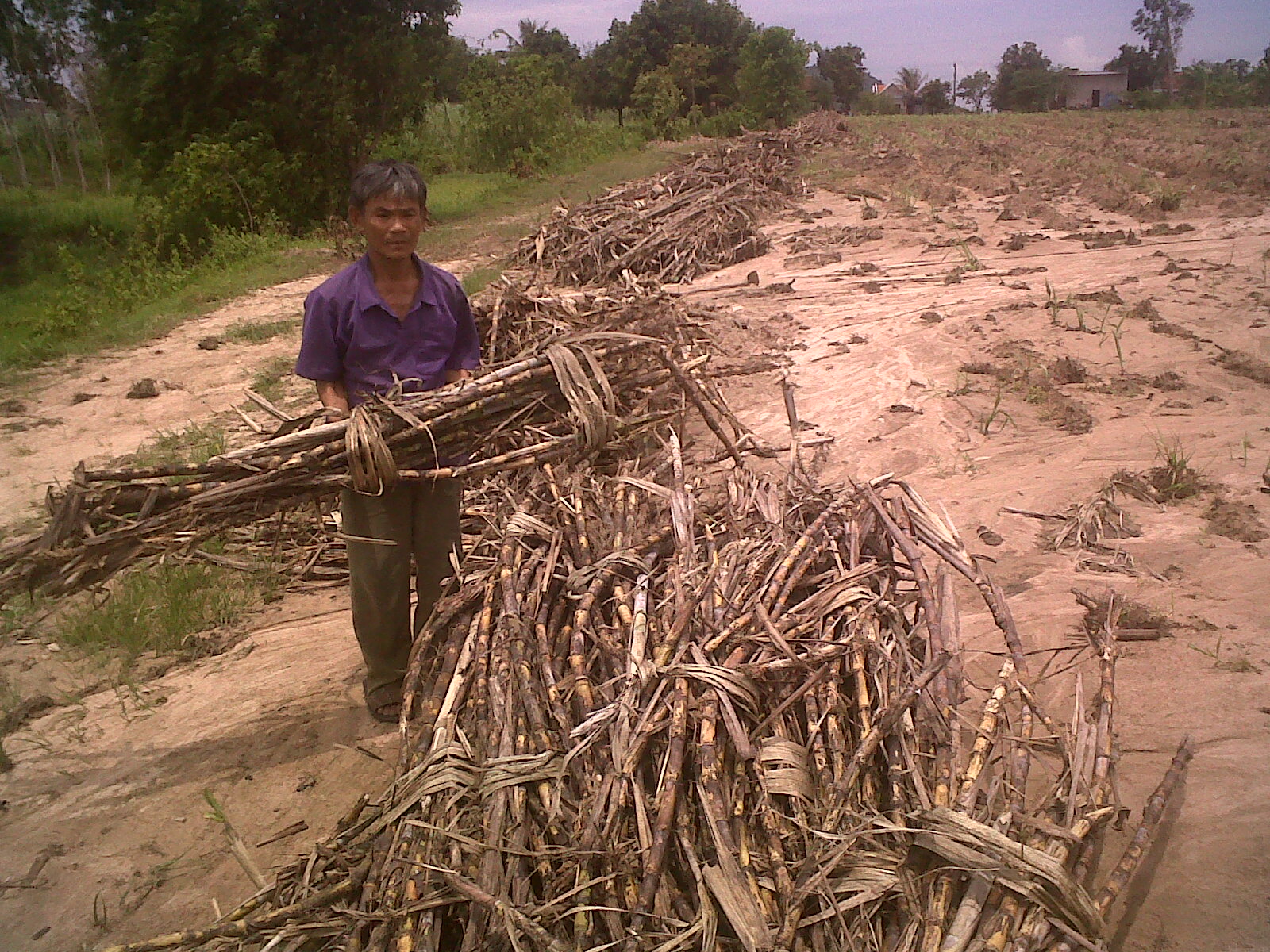 Nhà xe bắt chẹt nông dân