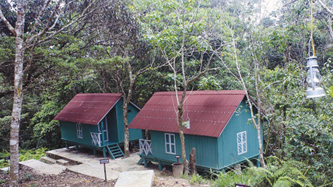 Xây dựng khu nghỉ dưỡng trên đỉnh Hòn Bà