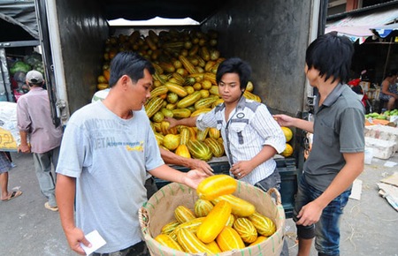 Rục rịch giảm giá cước vận tải