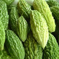 Mướp đắng chữa đau dạ dày